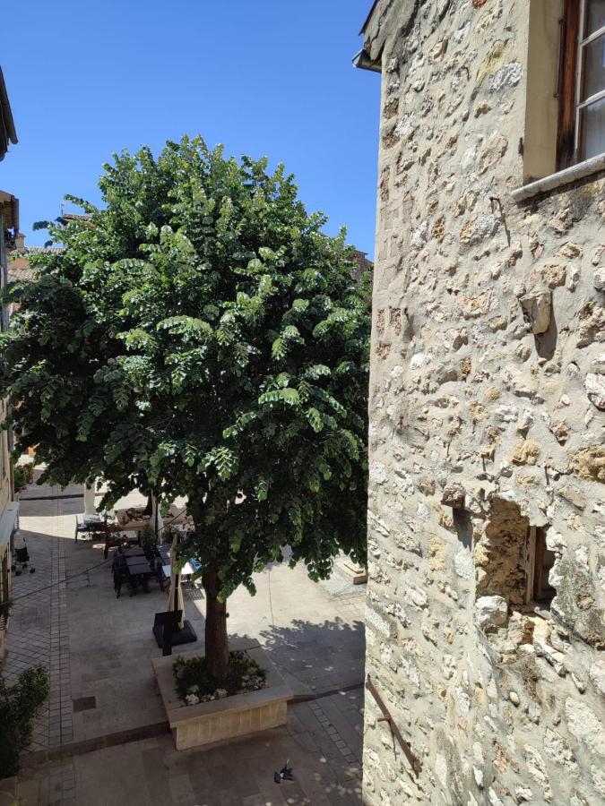 Chambre D'Hotes Les Tomettes Vence Zewnętrze zdjęcie